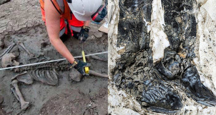 Boots Skeleton Combined