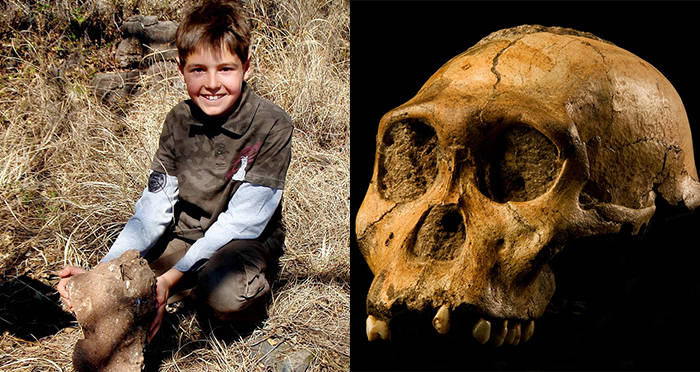 Matthew Vs. Skull