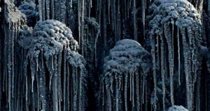 Black Snow Icicles