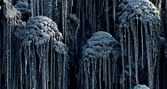Black Snow Icicles