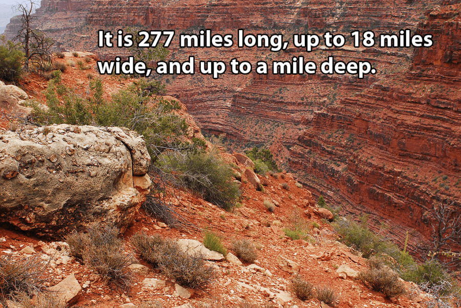 Grand Canyon Facts