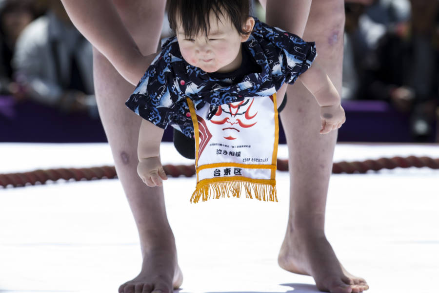 Baby Sumo