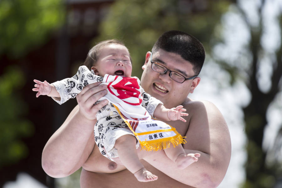 Crying Baby Naki Sumo