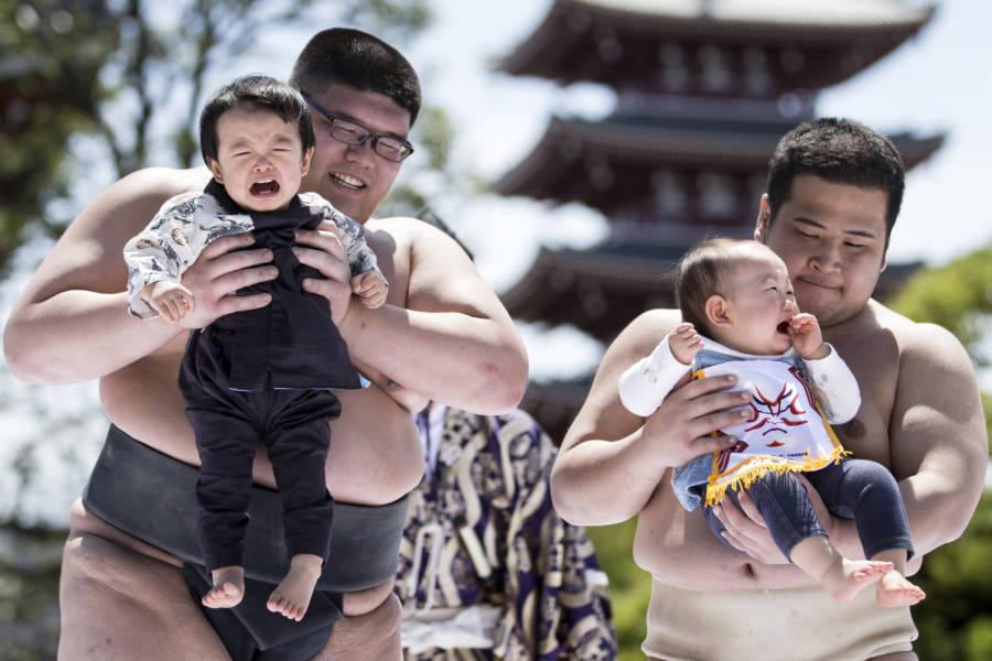 Crying Naki Sumo Babies