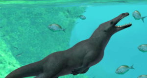 Swimming Whale With Legs