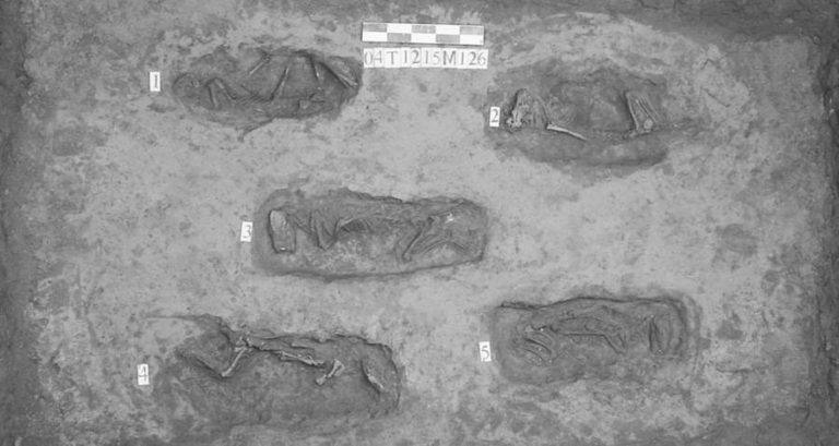Ancient Chinese Canine Burials