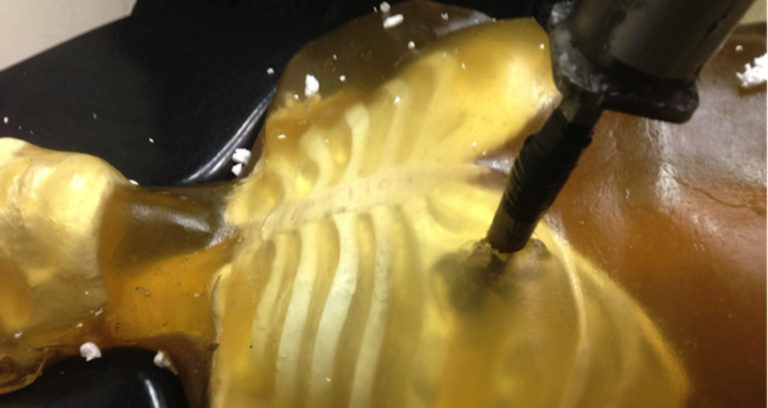 Ancient Greek Breast Bone Model Featured