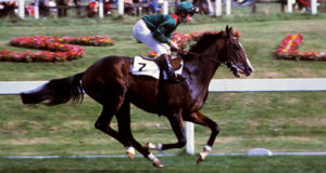 Shergar Midair Gallop Featured
