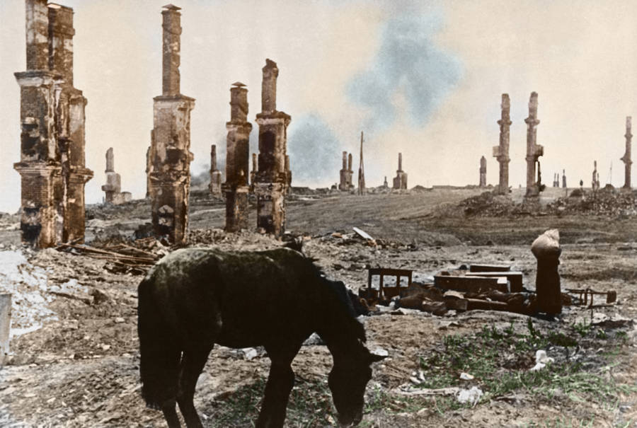 A Horse Grazes Around Ruins Of War