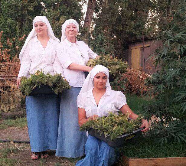 Three Nuns With Baskets Of Weed