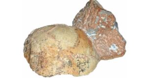 Partial Apidima Skull