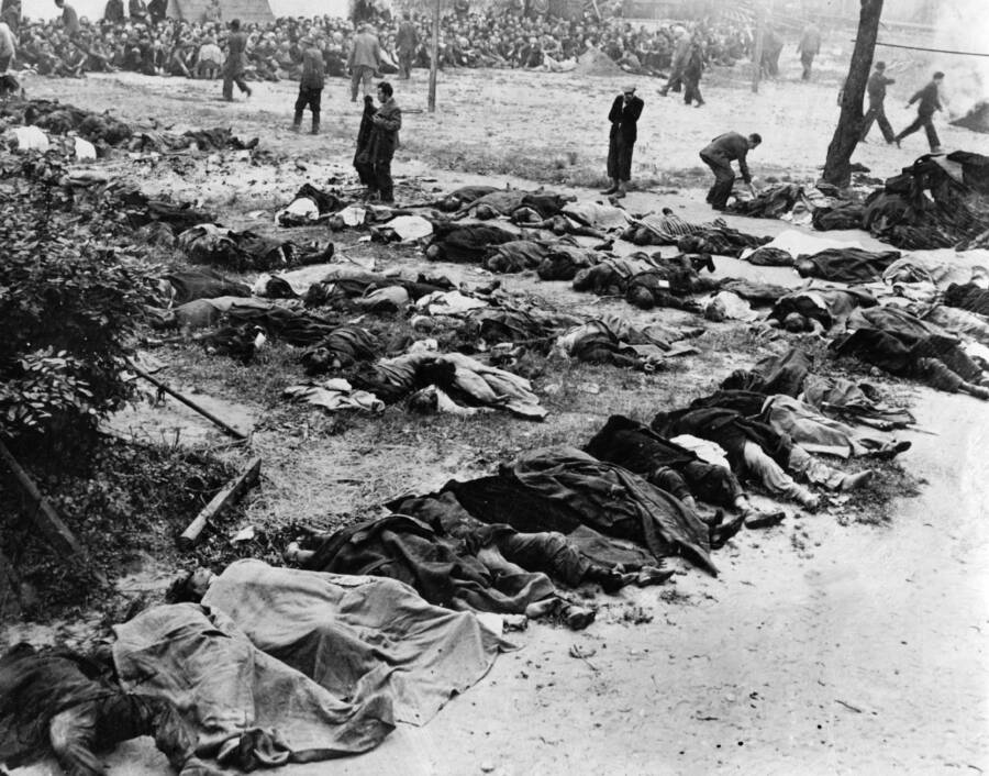 Dead Bodies Litter Ground In Ukraine