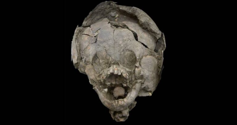 Skull And Helmet Remains