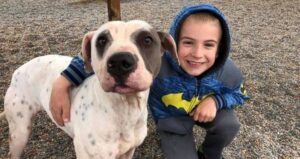 Roman Mcconn With White Dog