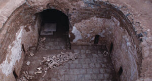 Ancient Donkey Skeleton In Tang Dynasty Tomb