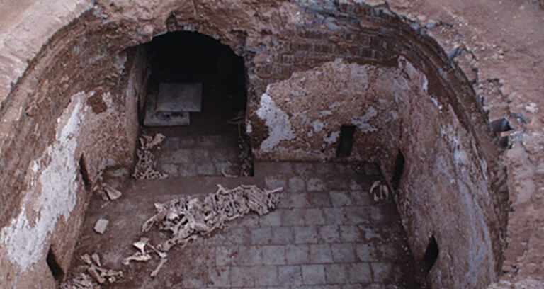 Ancient Donkey Skeleton In Tang Dynasty Tomb
