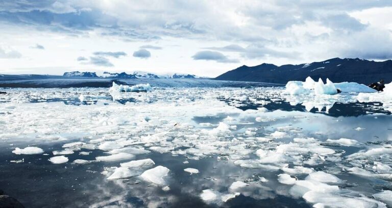 Arctic Sea