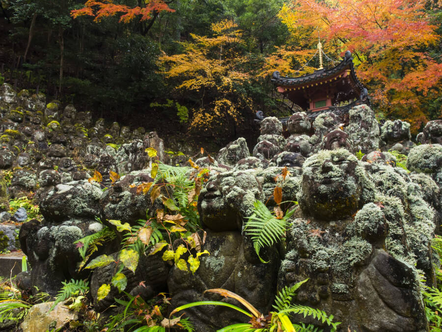 Autumn Buddhist Temple