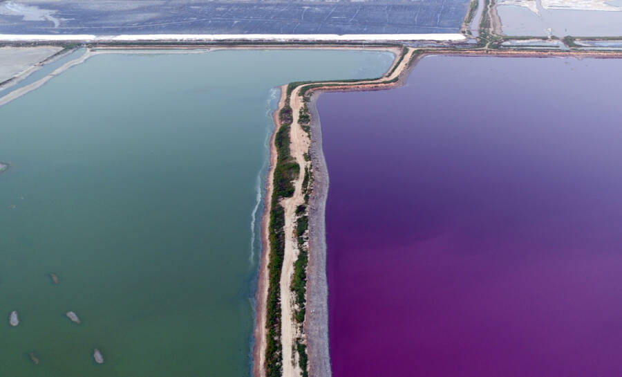 Blue And Purple Water