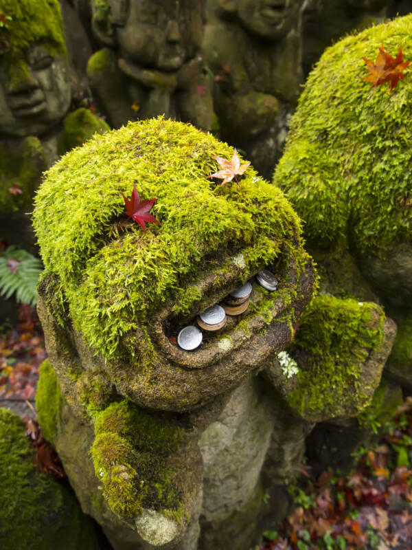 Coins Leaves On Statue
