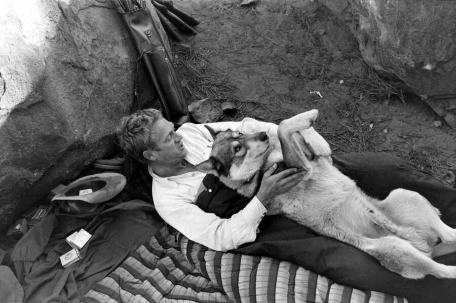 Steve Mcqueen And His Dog