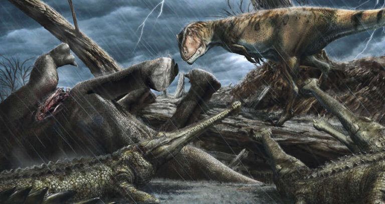 Carcharodontosaurus And Elosuchus