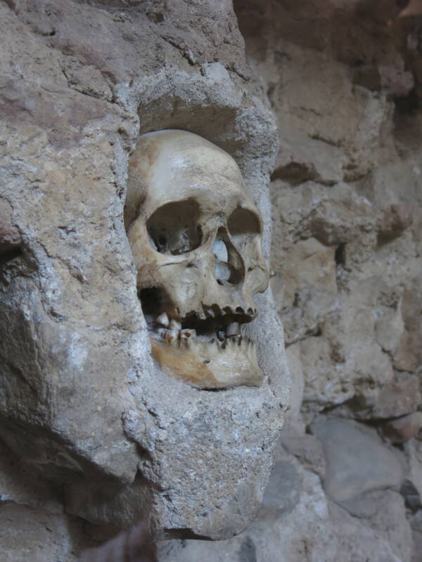 Skull At Niš Tower