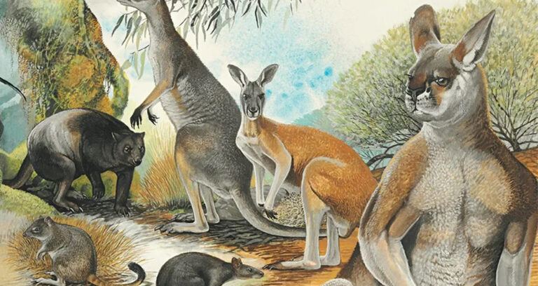 Painting Of Giant Ancient Kangaroos