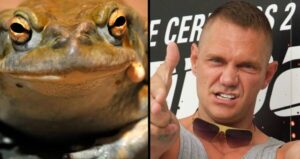 Nacho Vidal Toad Ritual