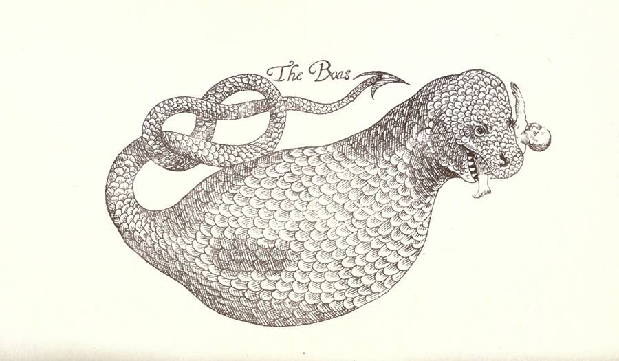 Sketch Of A Sea Dragon