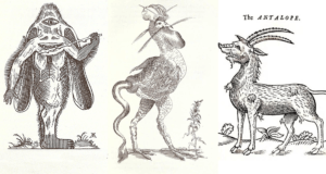 Mythical Creatures Drawings