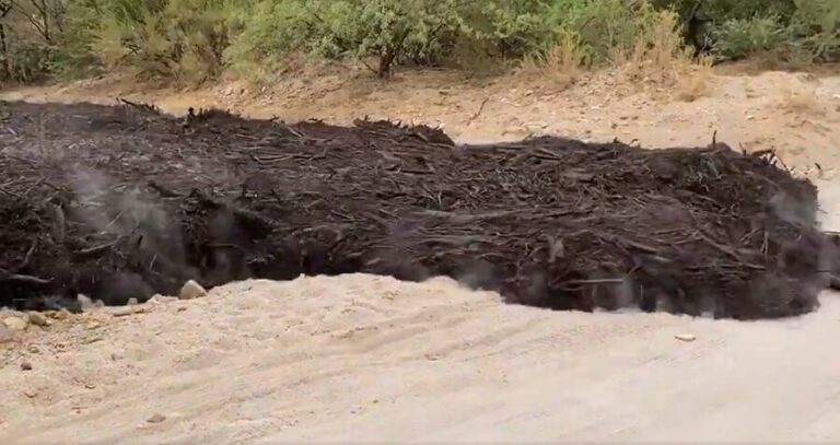 Arizona Flash Flood Flow