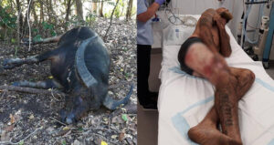 Dead Buffalo Vs Sherry