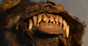 Ice Age Puppy Teeth