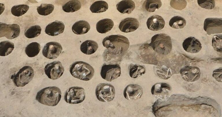 Skeletons In Graveyard