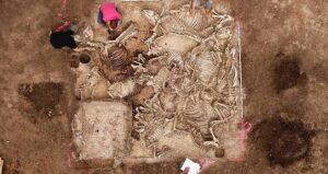 Animal Remains Inside Tomb