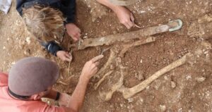 Archaeologists Uncovering Marlow Warlord