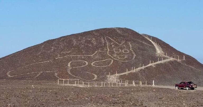 Cat Nazca Lines