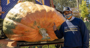 Tiger King The Pumpkin And Gienger