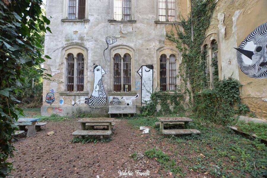 Asylum Yard