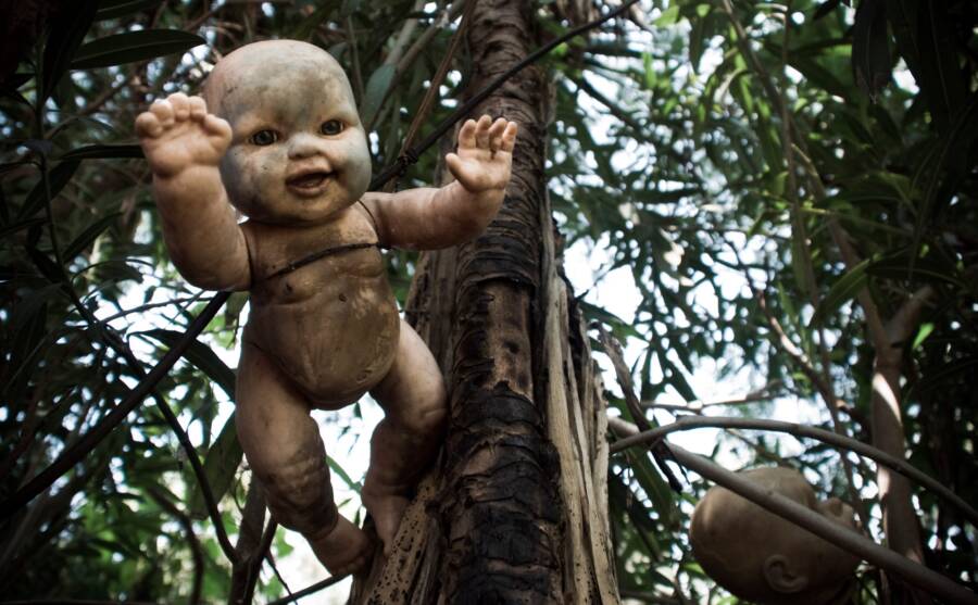 Baby Doll On La Isla De Las Muñecas