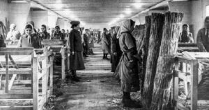 Romani Women In Nazi Camp