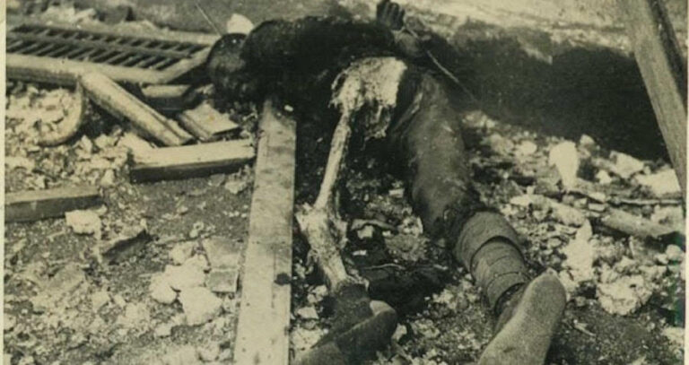 Ww2 Cannibalism Featured