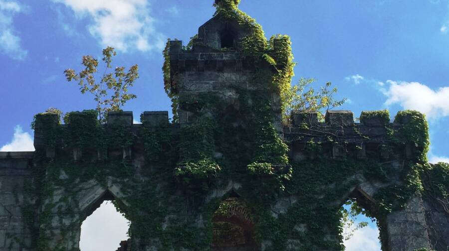 Plant Riddled Tower Of Roosevelt Island Hospital