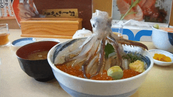 Dancing Squid
