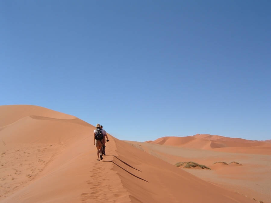 Desert Hike