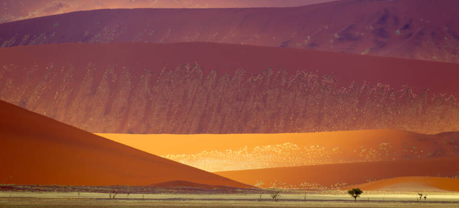 Namib Naukluft Sand Dunes