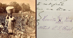 Woman Like Wood Vs Verdict