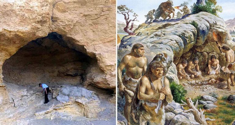 Cave Vs Humans
