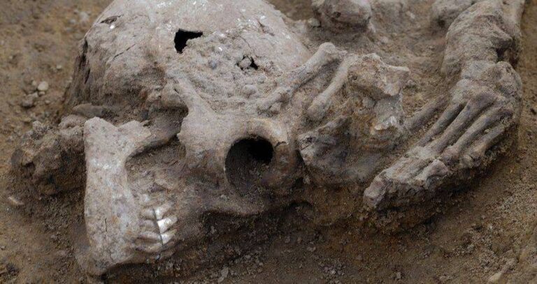 Decapitated Head With Feet